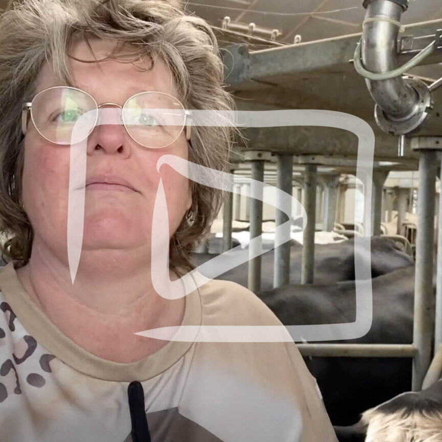 boer-in-de-klas-review-pauline-de-groot
